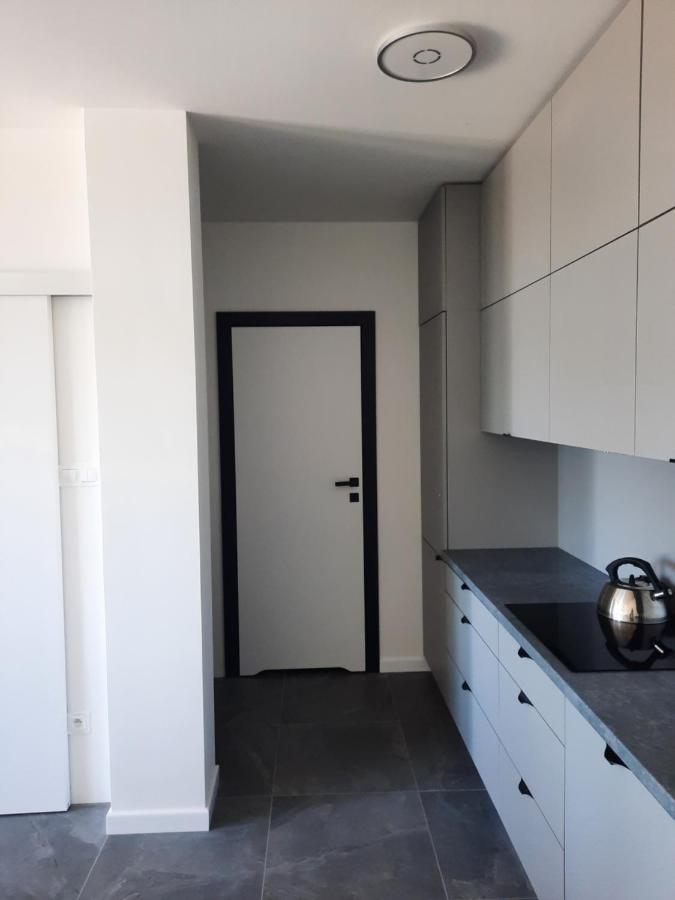 דירות Apartament Nad Jeziorem Bory Tucholskie צ'ארזיקובי מראה חיצוני תמונה
